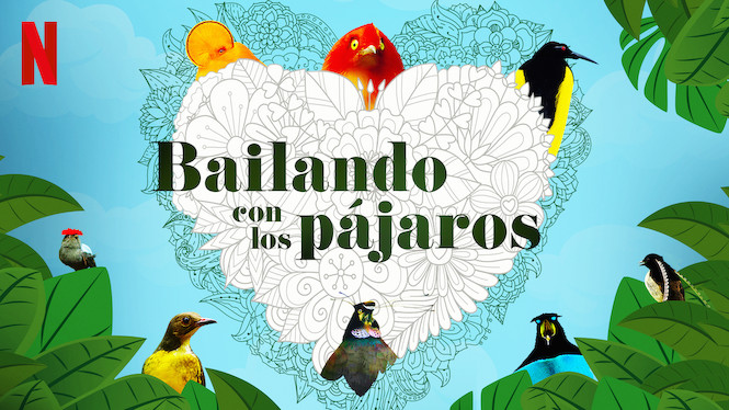 Bailando con los pájaros