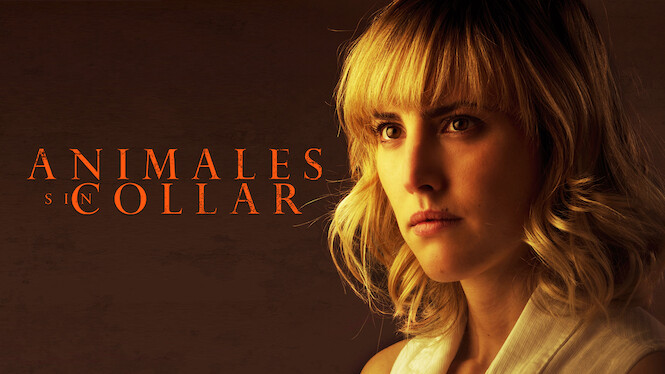 Animales sin collar